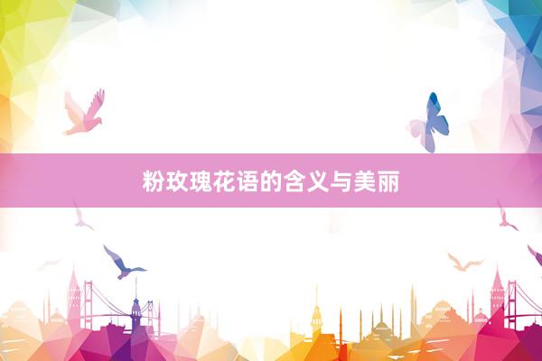 粉玫瑰花语的含义与美丽