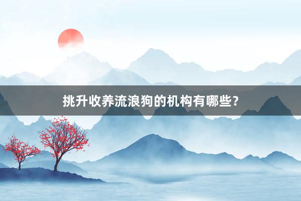 挑升收养流浪狗的机构有哪些？